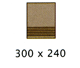 300X240